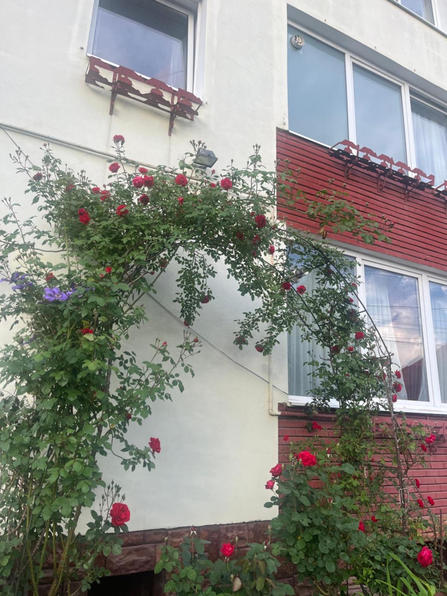 Casa Conti Hotell Sibiu Exteriör bild