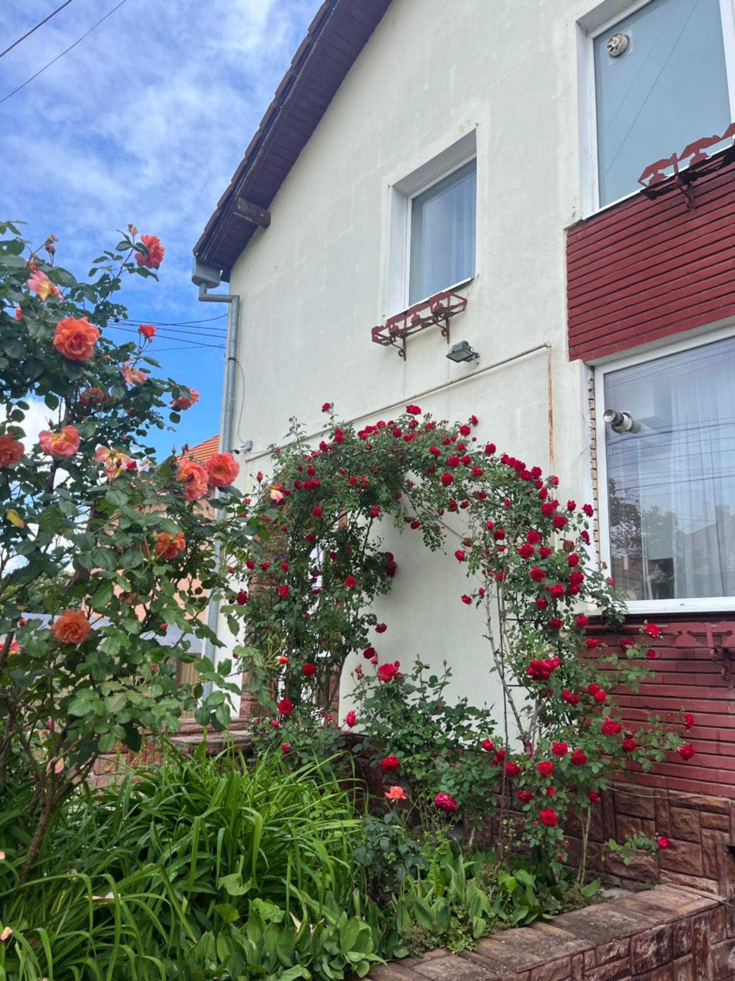 Casa Conti Hotell Sibiu Exteriör bild
